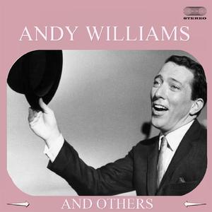 Andy Williams - A Summer Place (Karaoke Version) 带和声伴奏