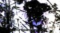 Re:Infiniteroom专辑