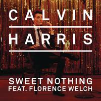 Sweet Nothing - Calvin Harris (unofficial Instrumental)