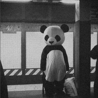 纯 音 丧