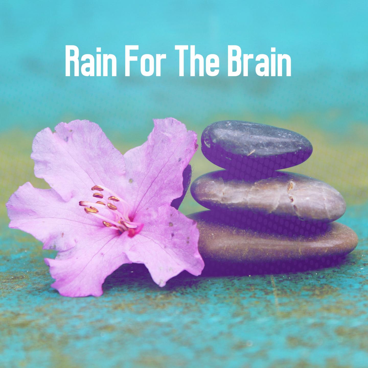 Rain For The Brain专辑