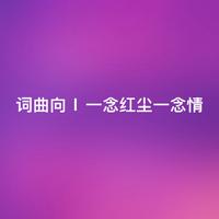 情起红尘 和声伴奏  网络短剧《与君行》插曲