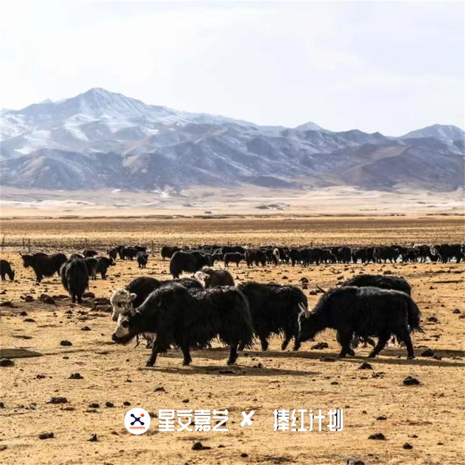 一年三百六十天