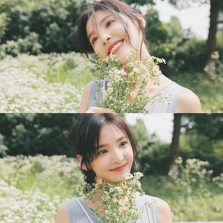 这些歌里有好闻的夏天味道