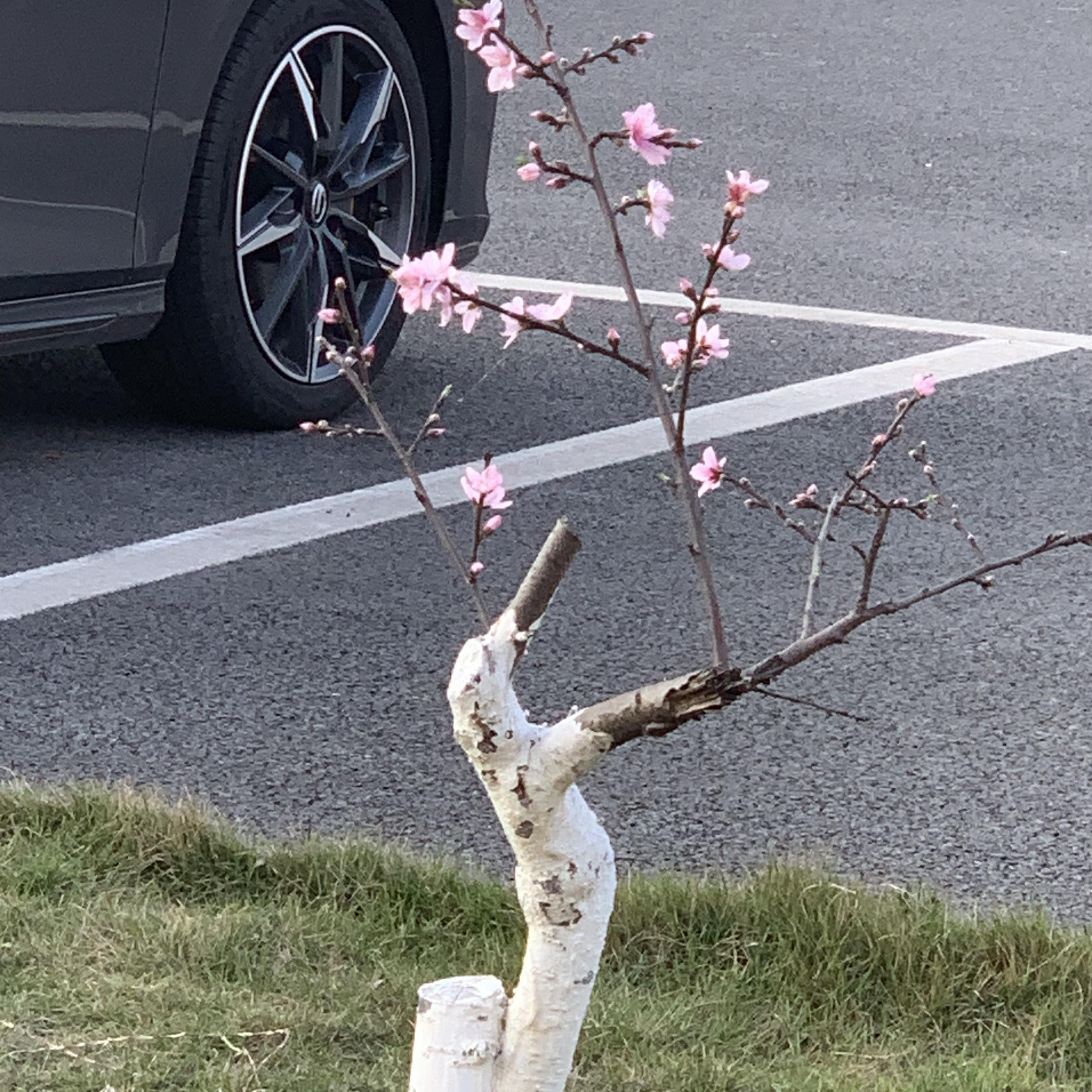 茂茂 我们到长安了