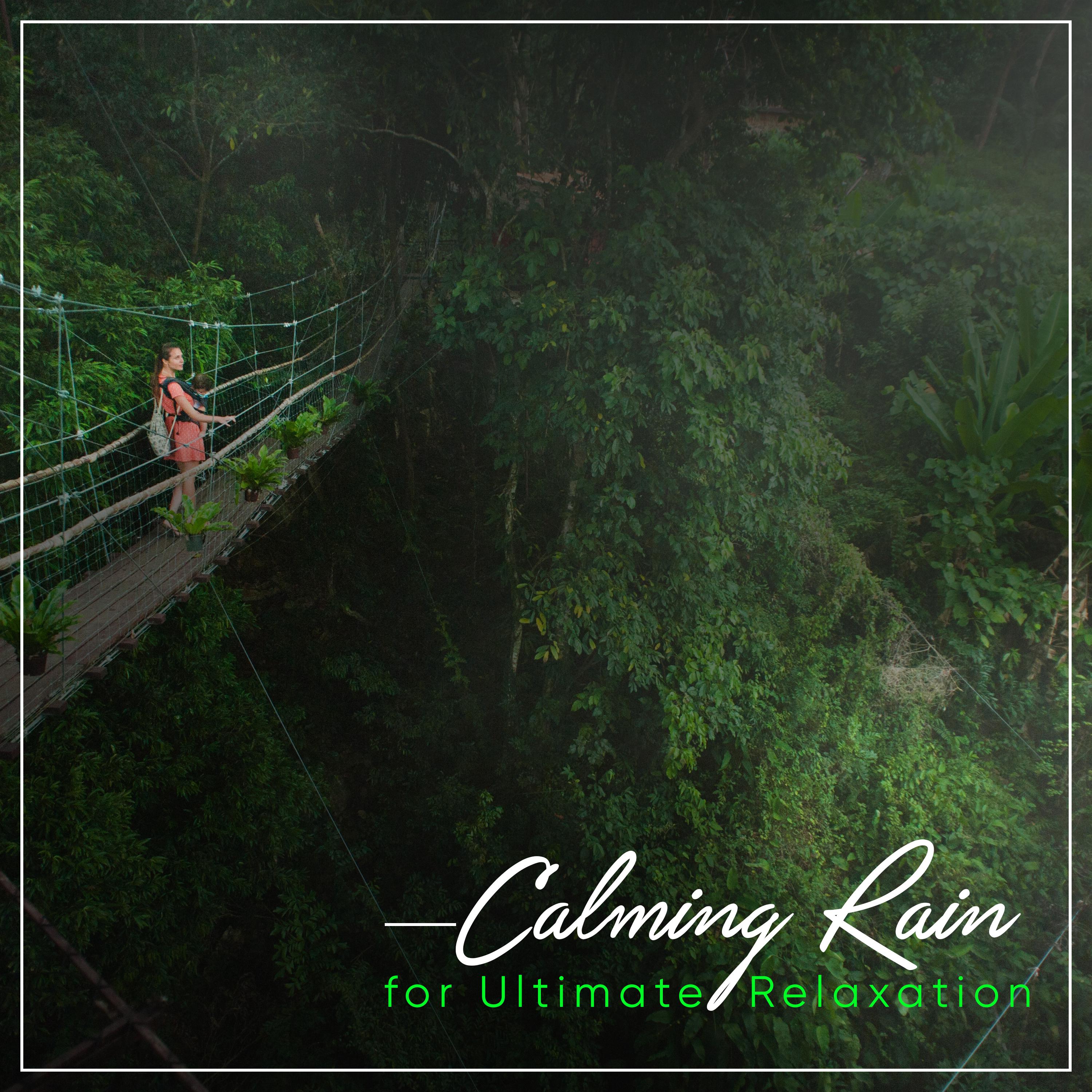 #Calming Rain - Sounds from Nature for Ultimate Calm: Rain Showers专辑