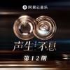声生不息·华流季 第12期专辑