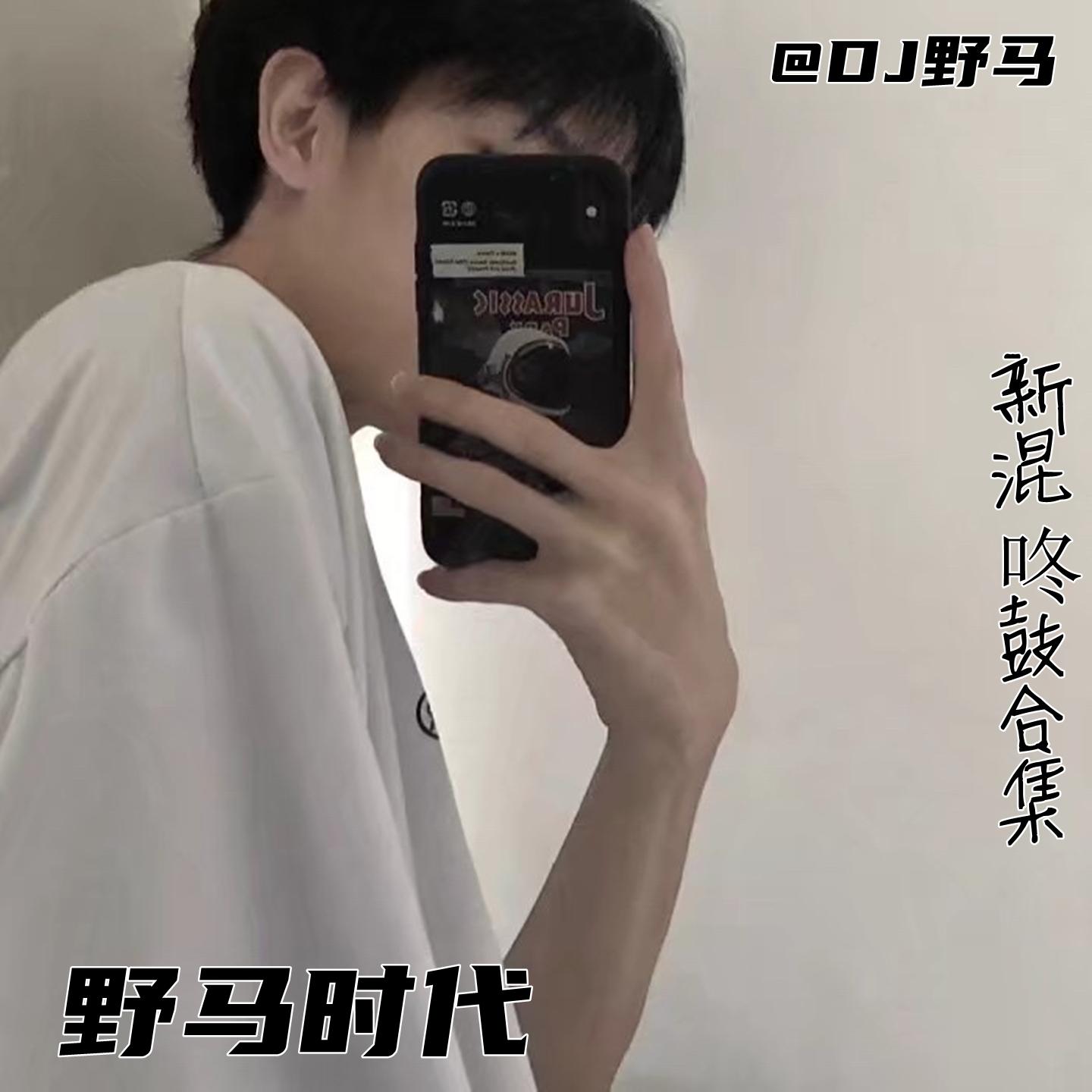 野马时代