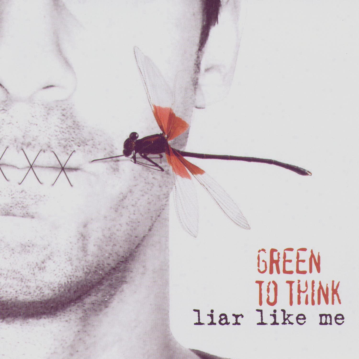 Liar Like Me