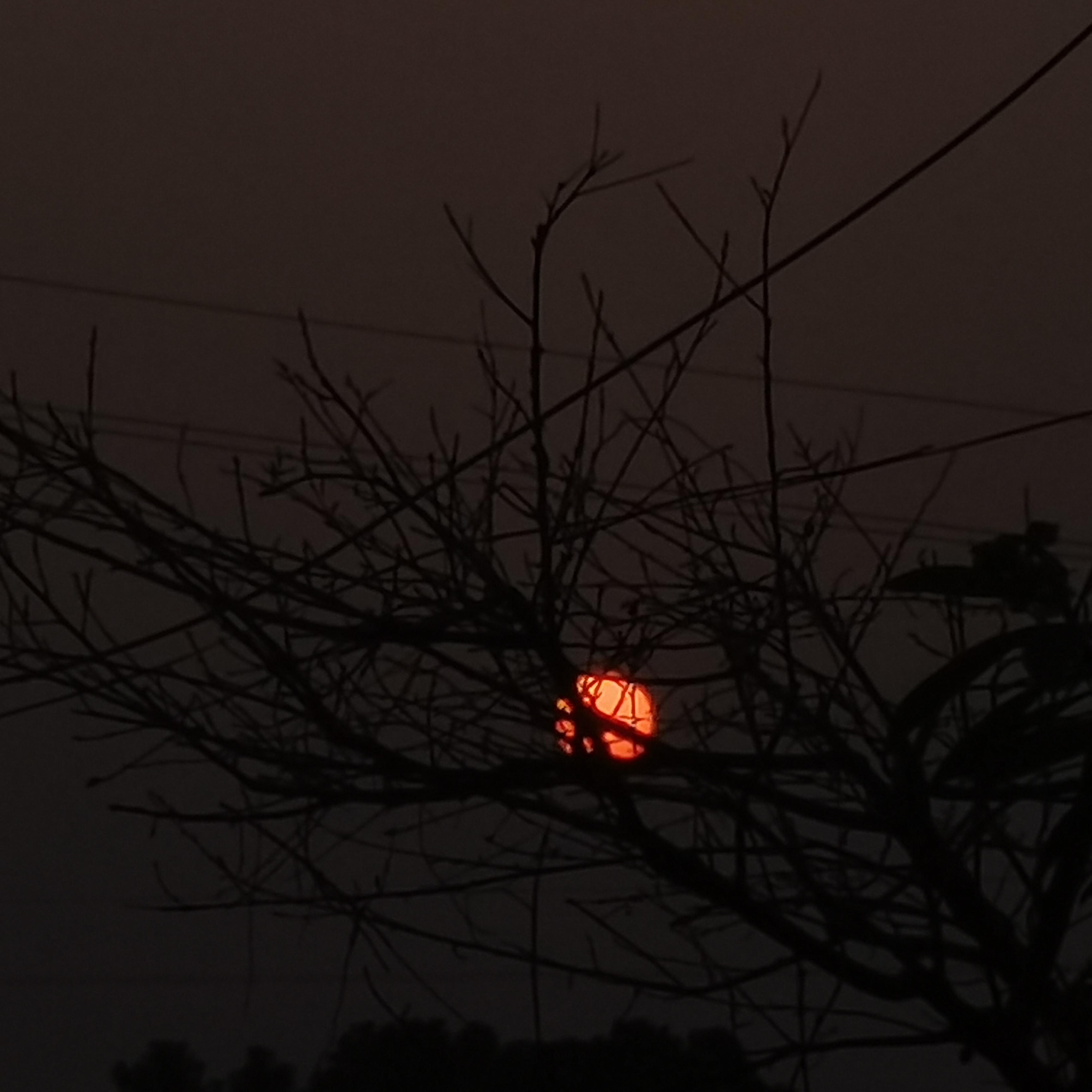 多情种（女声完整版）