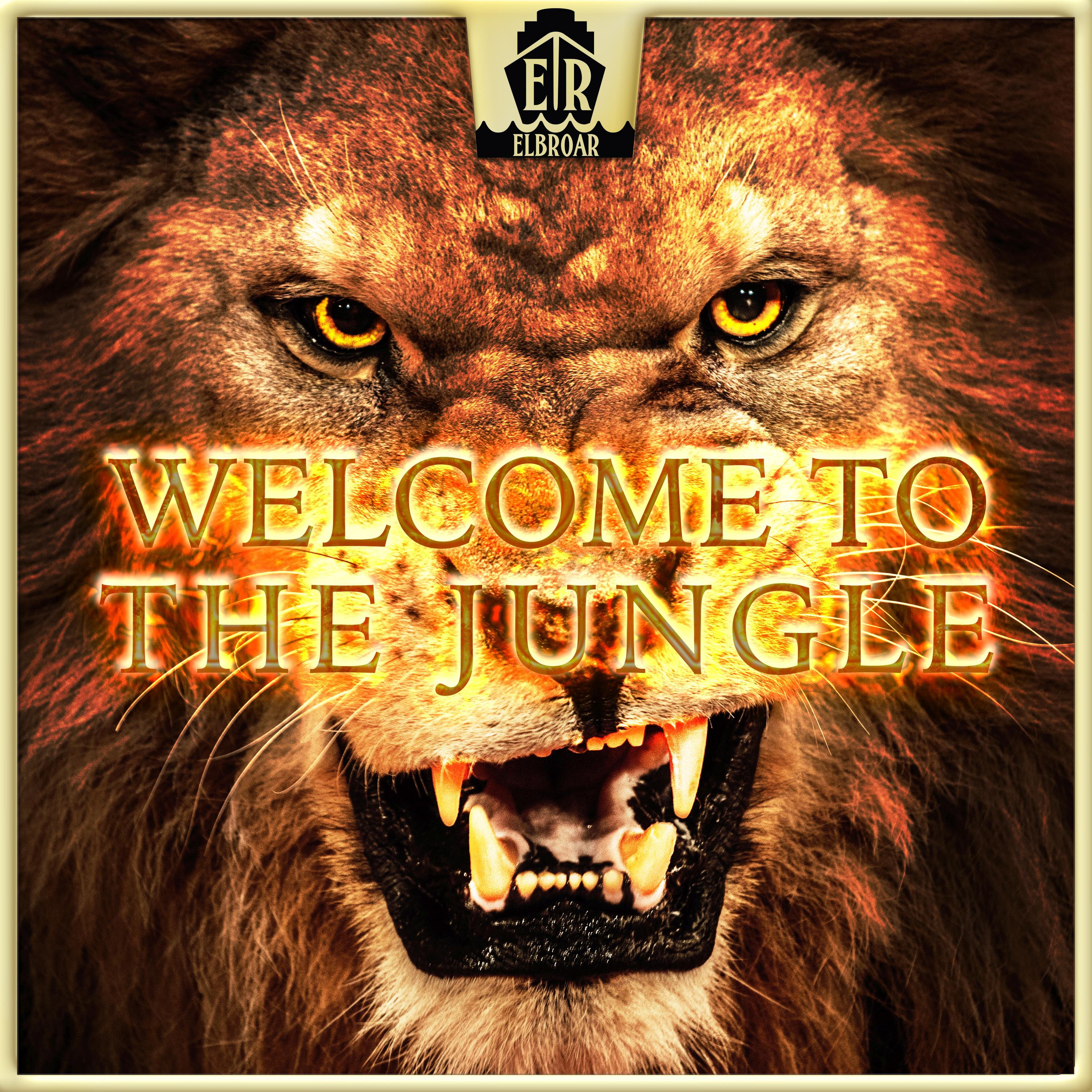 Welcome to the Jungle专辑