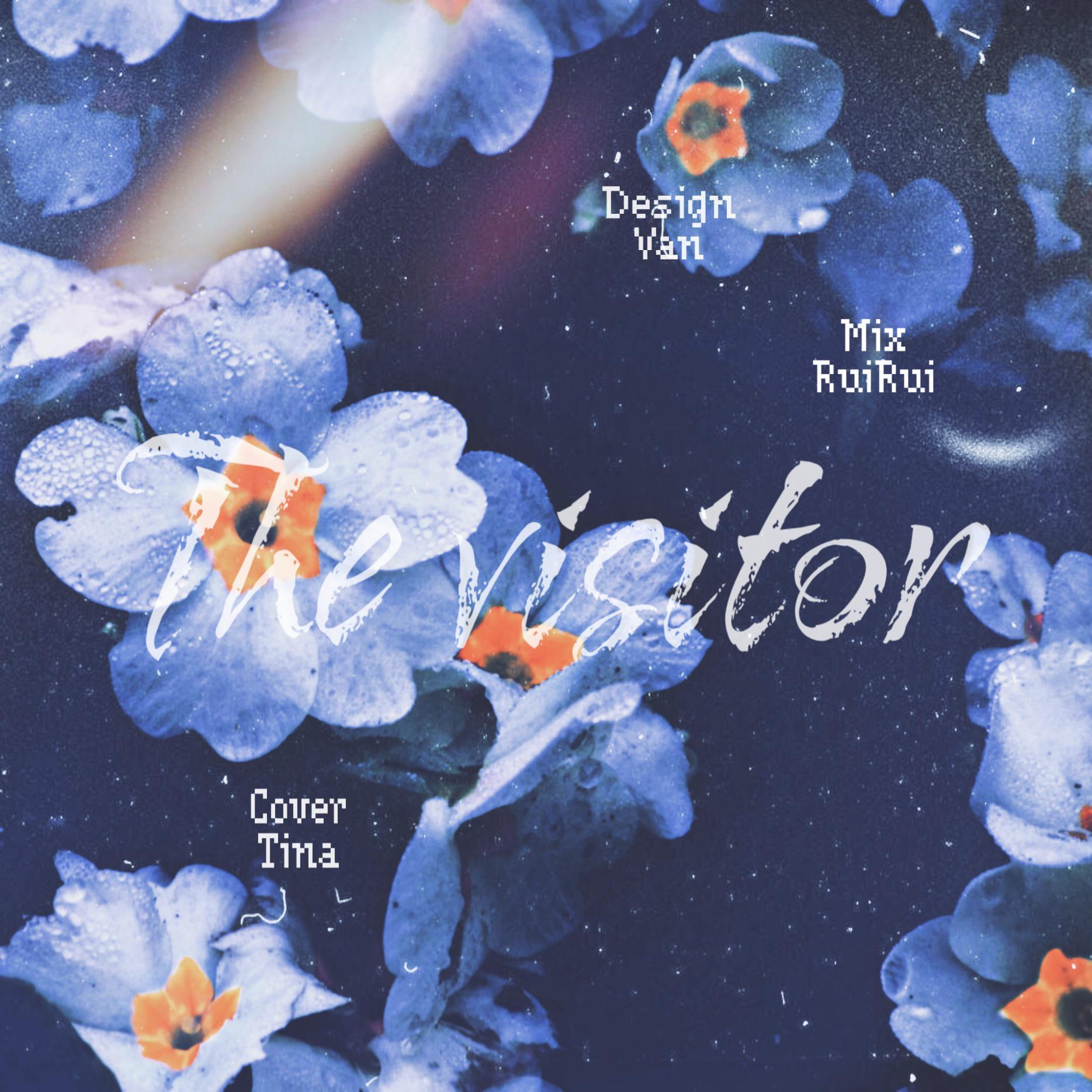 The visitor