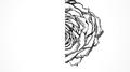 White Rose专辑