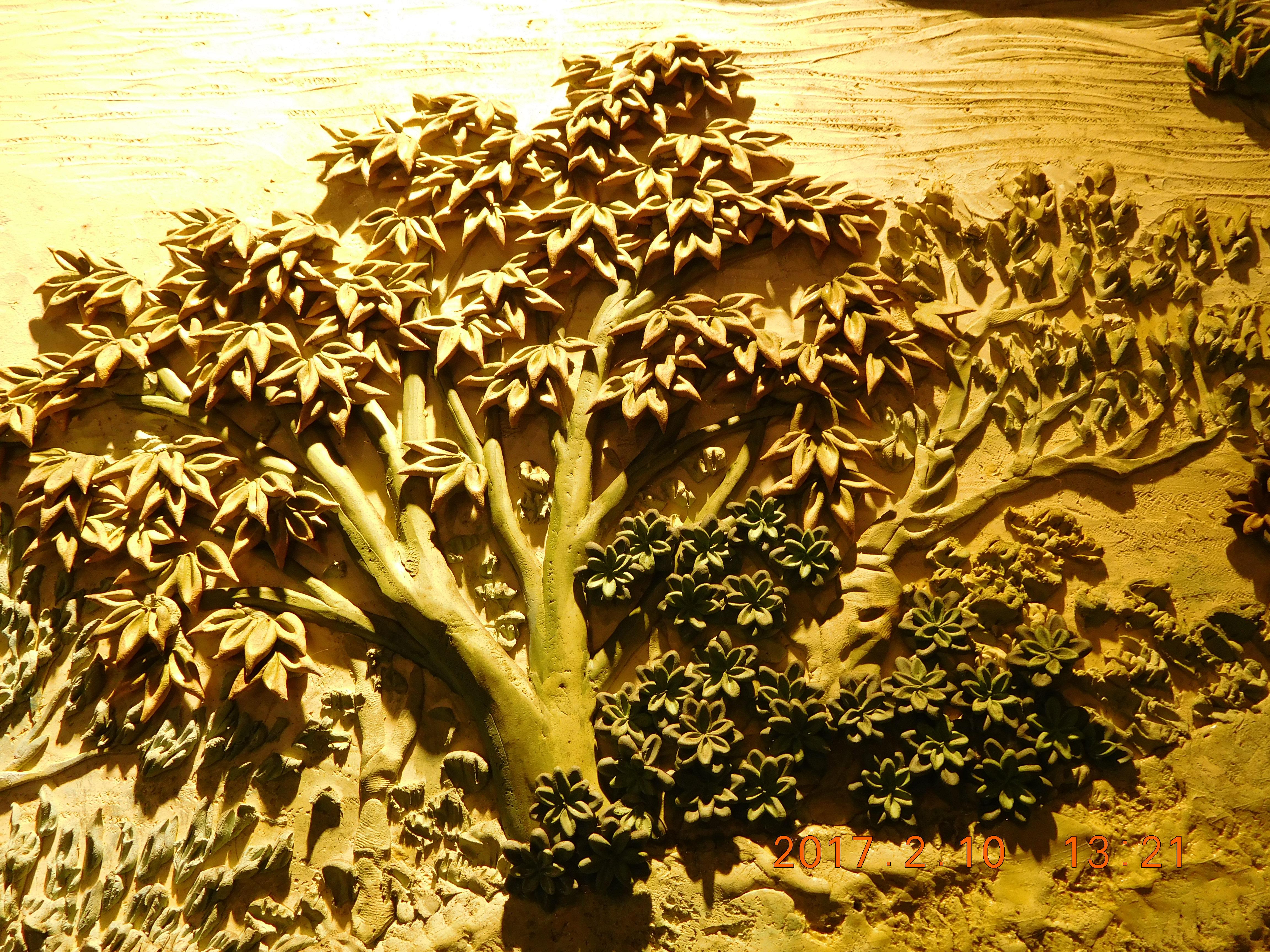 风树
