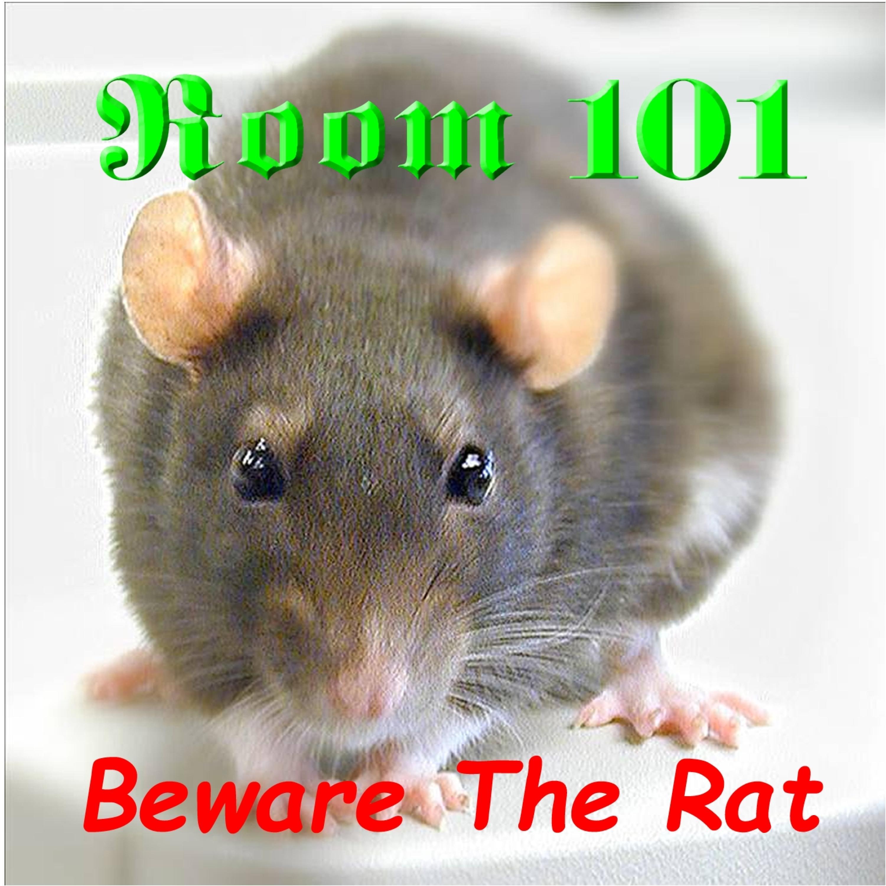 Beware The Rat