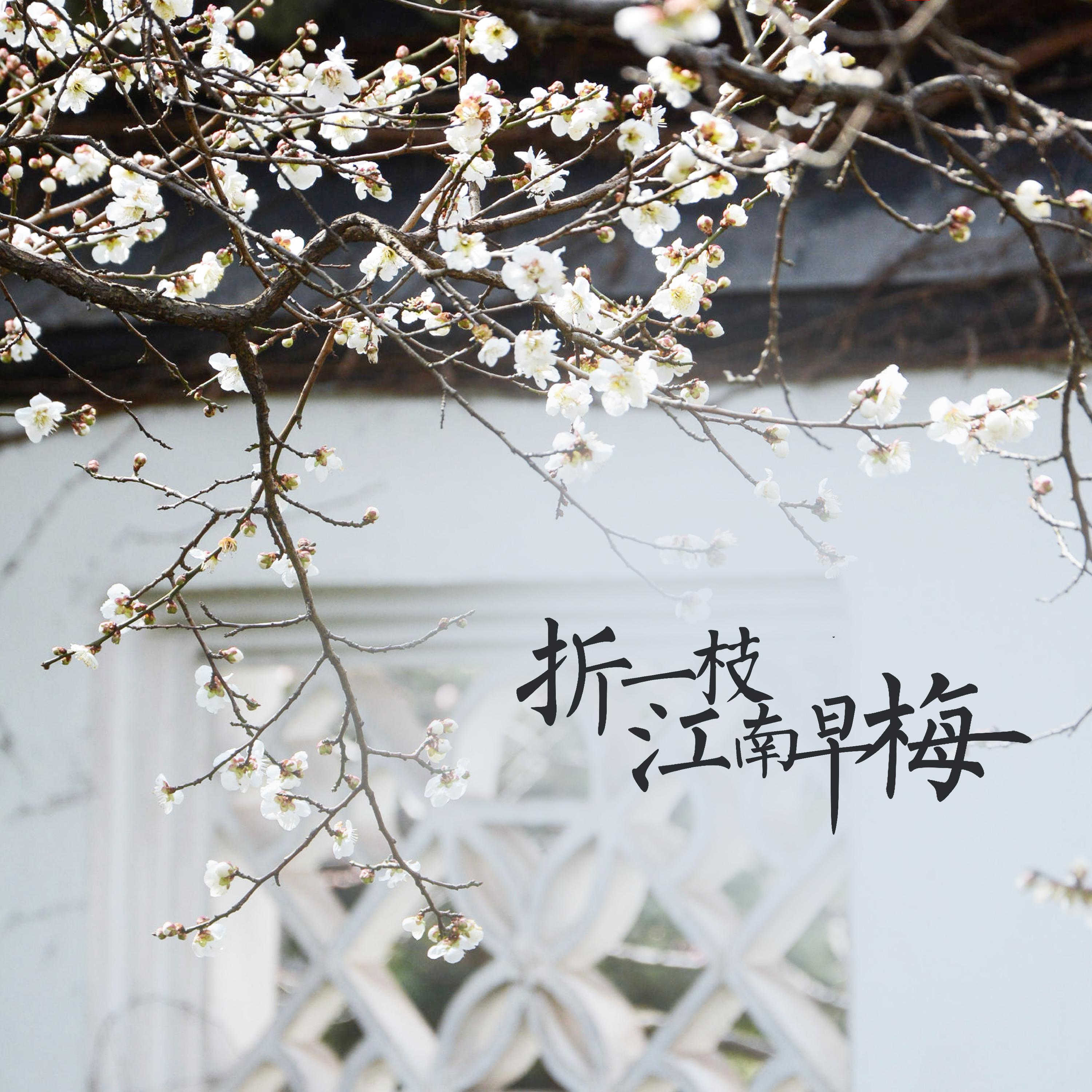 折一枝江南早梅