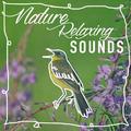 Nature: Relaxing Sounds