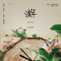 渡年 （广播剧《年花》ED）专辑