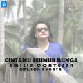 Cintamu Seumur Bunga