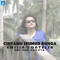 Cintamu Seumur Bunga专辑