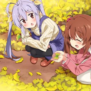 「纯音·迷失森林」藏起树叶最好的地方°