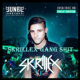 Skrillex 2018 佛山从林Drops Only List