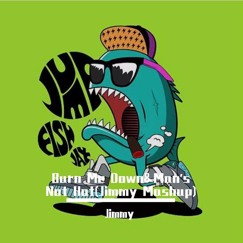 Burn Me Down&Man's Not Hot(Jimmy Mashup)