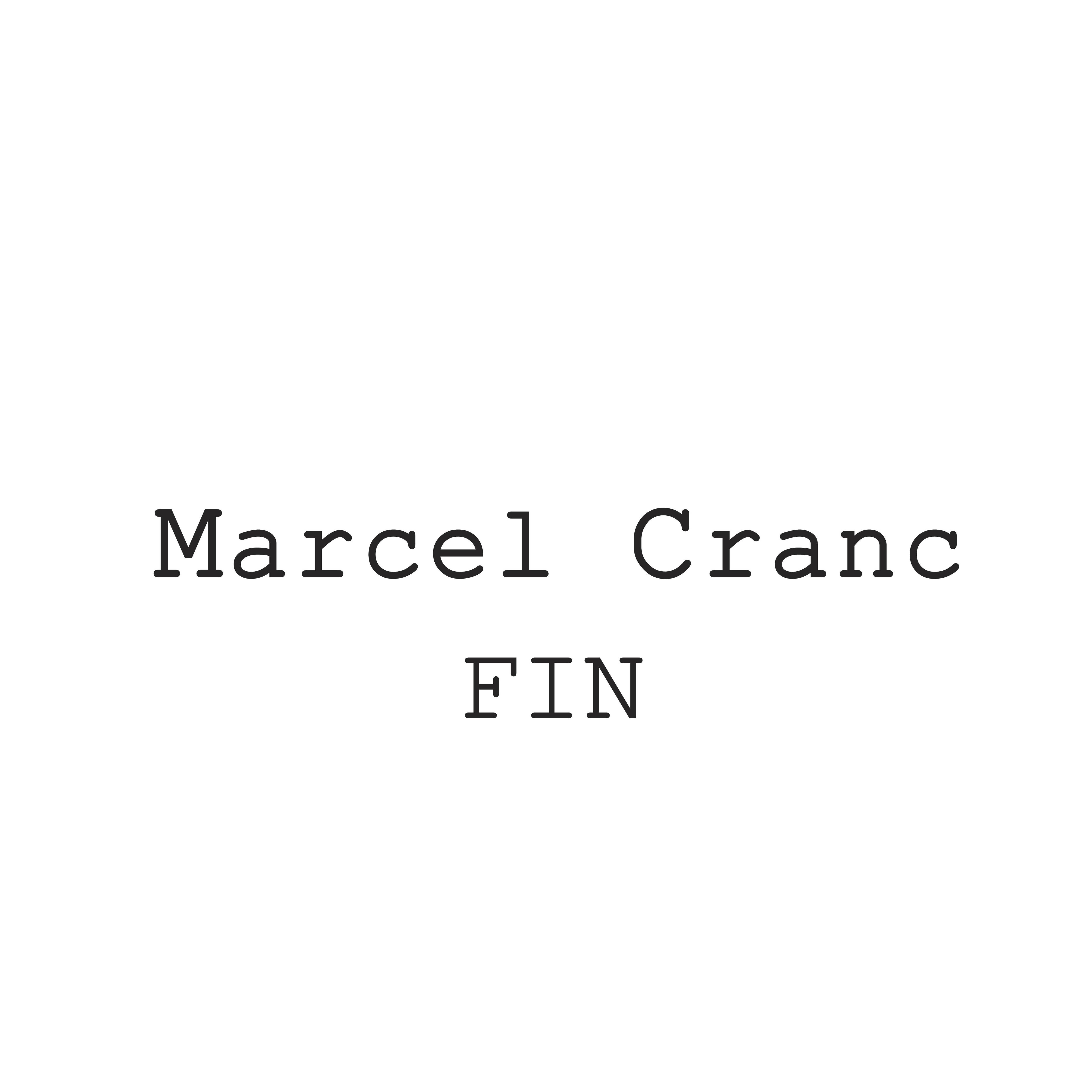 Fin