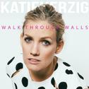 Walk Through Walls专辑