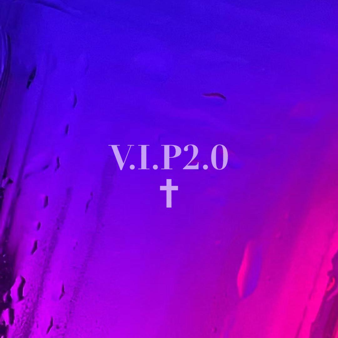 VIP2.0封面
