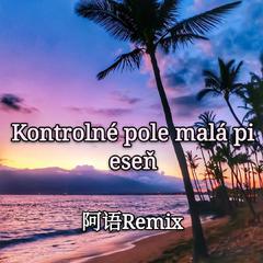 群星-Kontrolné pole malá pieseň（Gerry remix）