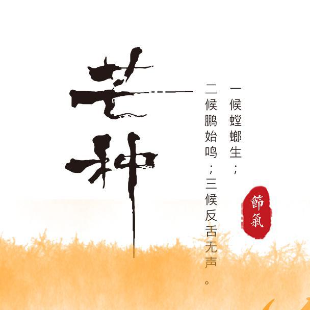 芒种