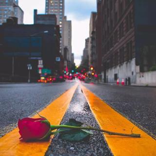 你是我患得患失的梦 我是你可有可无的人