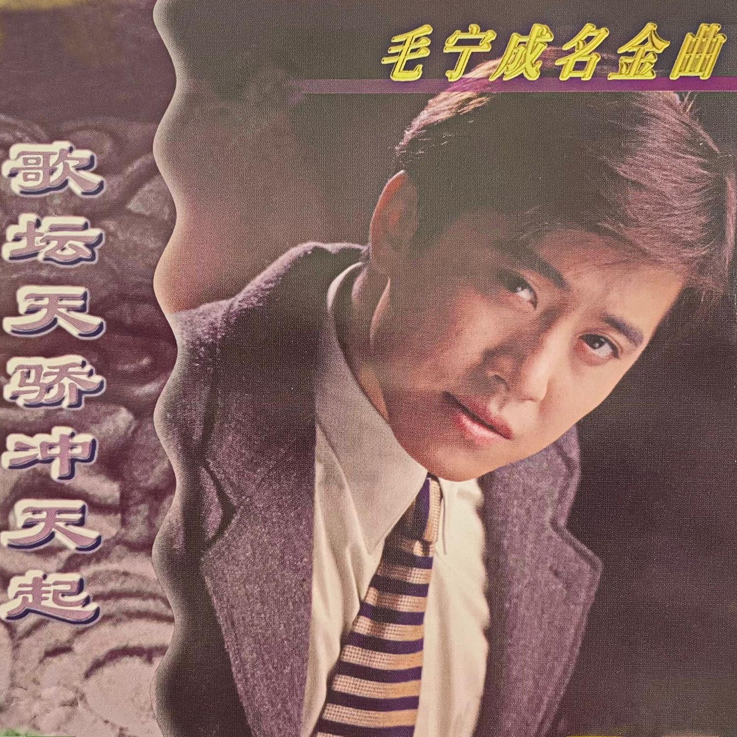 毛宁-《毛宁成名金曲 歌坛天骄冲天起》