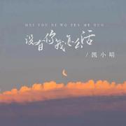 没有你我怎么活 (DJ版)