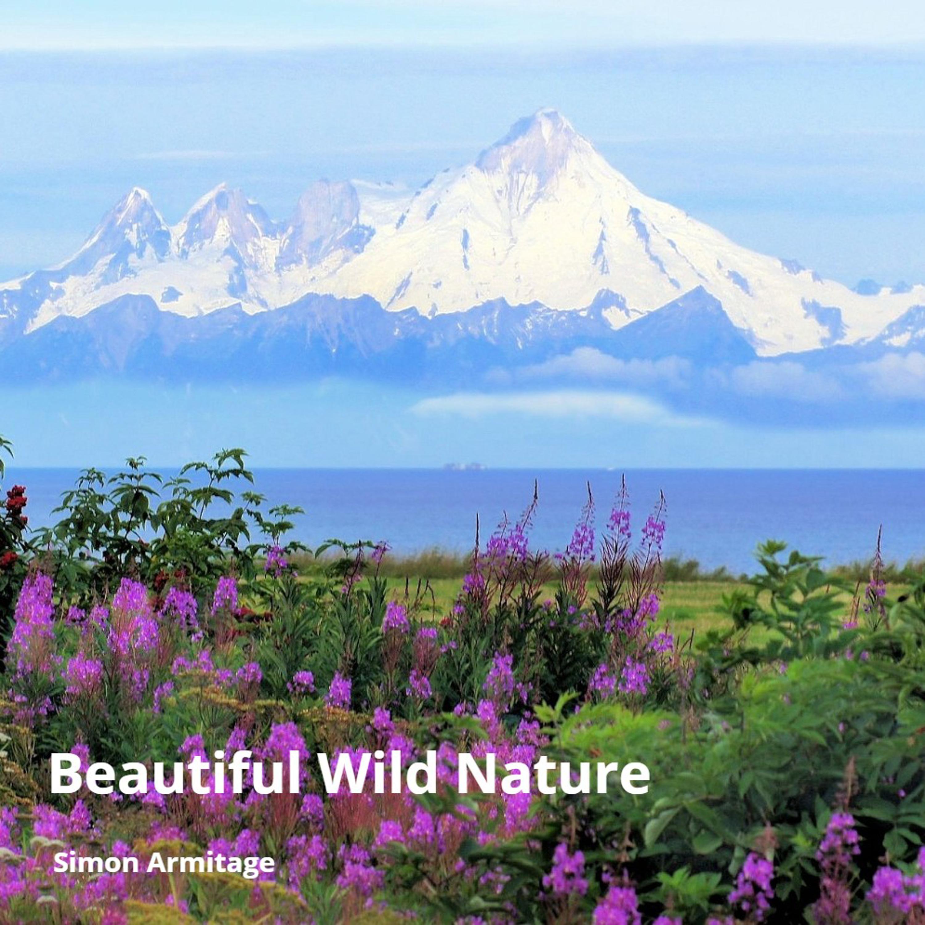 Beautiful Wild Nature