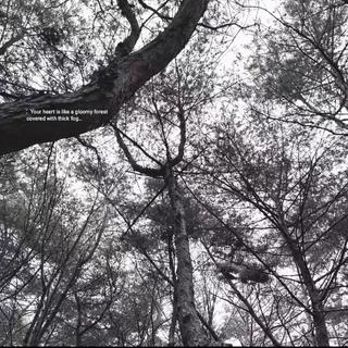 好喜欢被你长发遮望眼