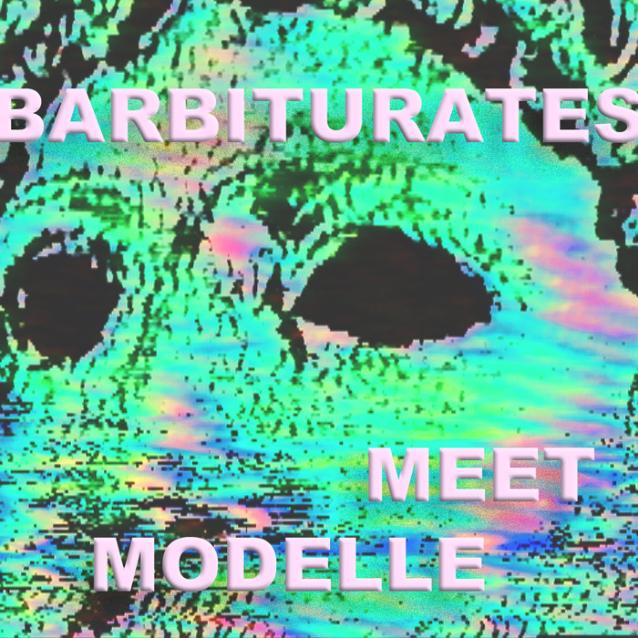 Meet Modelle