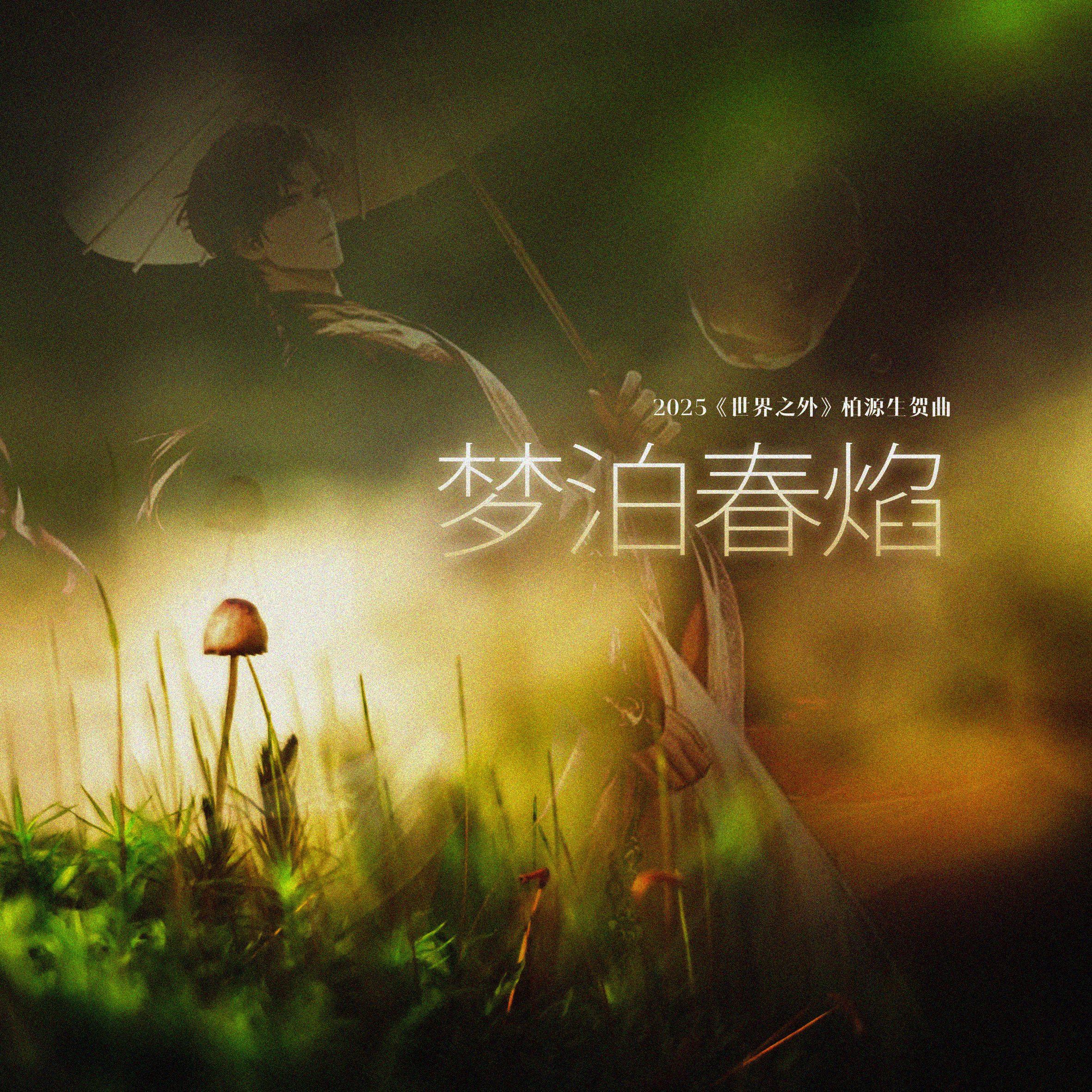 梦泊春焰（《世界之外》2025柏源同人生贺曲）
