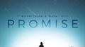 Promise专辑
