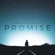 Promise