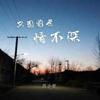 路勇 - 缘来缘去(伴奏).mp3