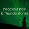 18 Rain and Thunderstorm Sounds for Deep Sleep and Anxiety Relief专辑