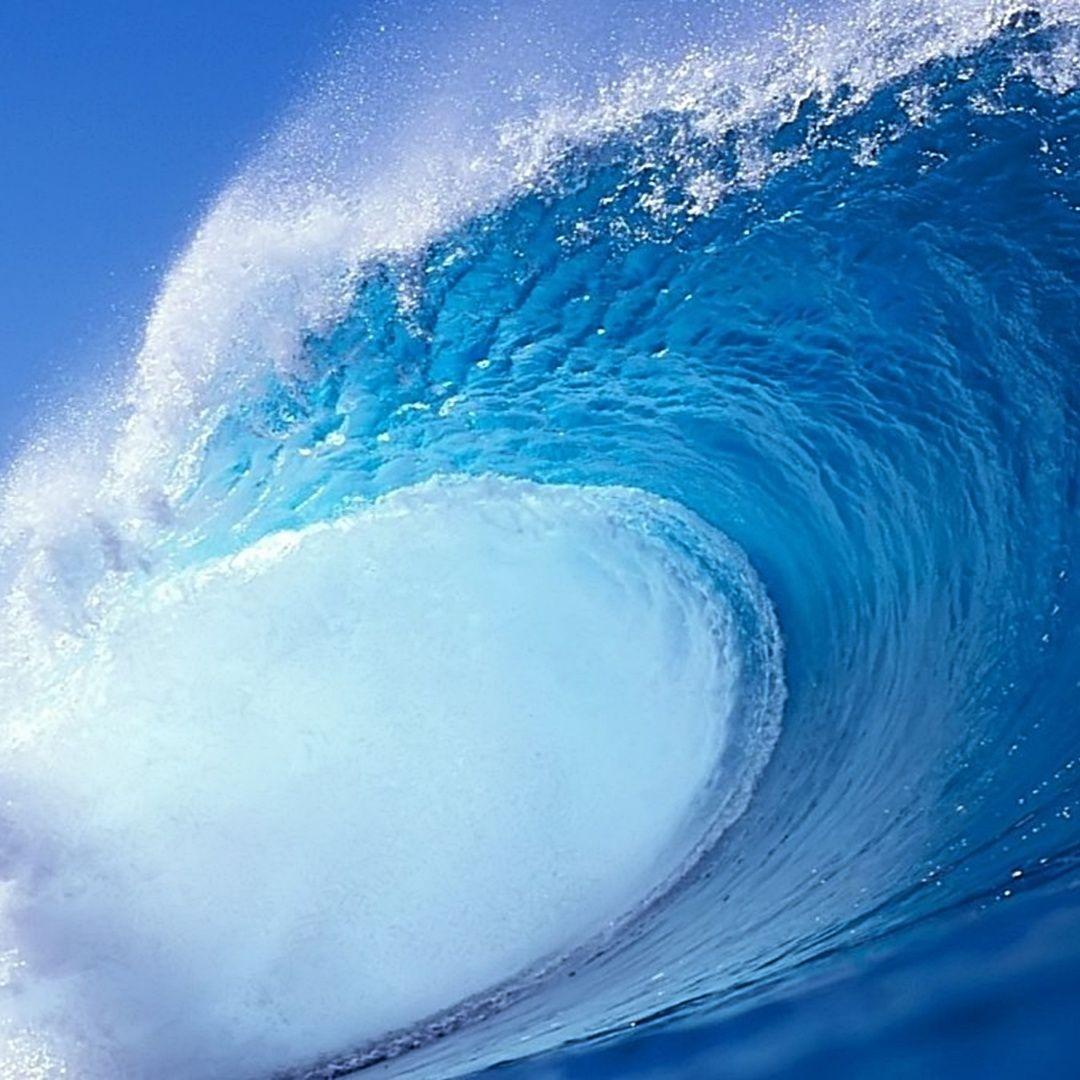 Wave