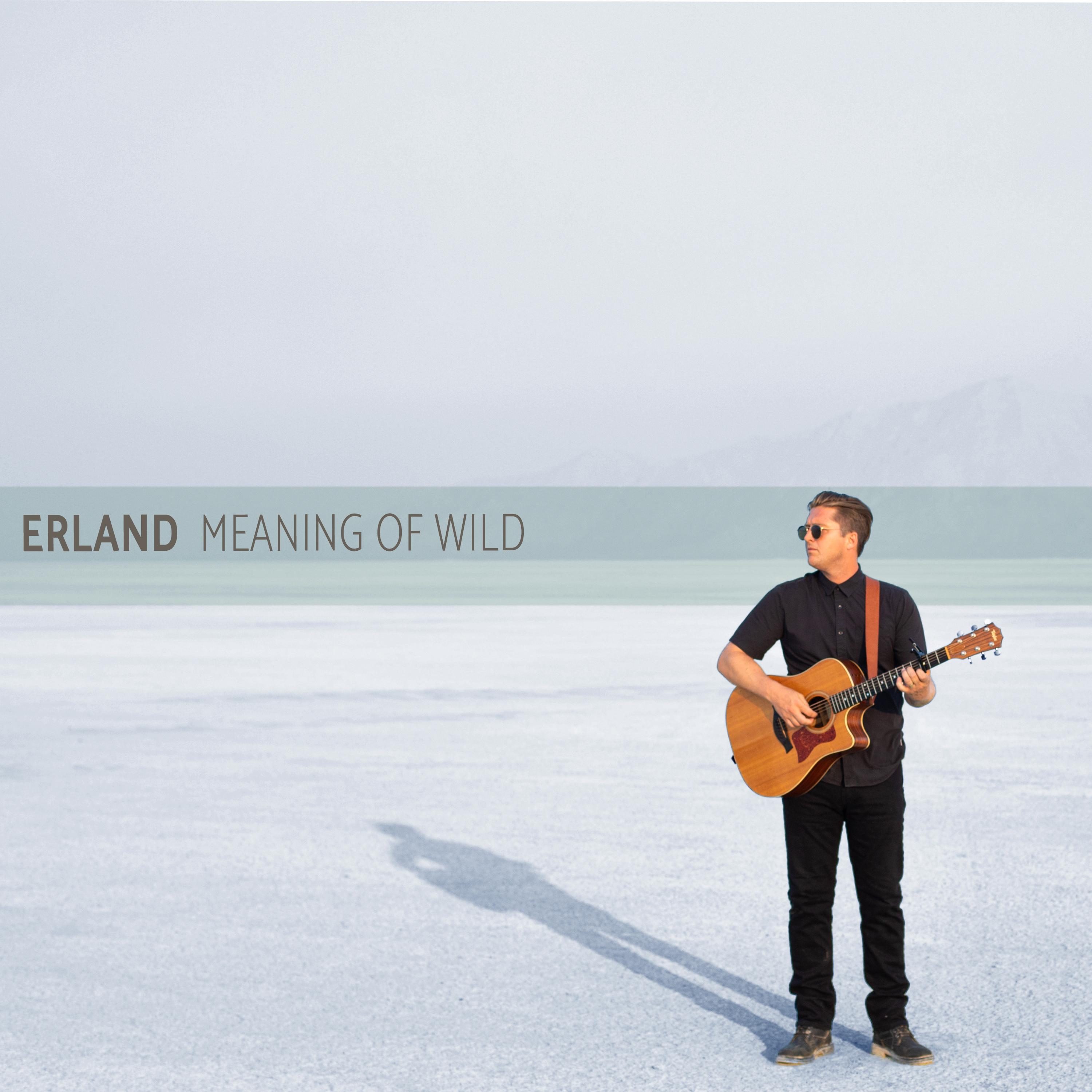 Meaning Of Wild