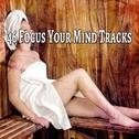 46 Focus Your Mind Tracks专辑