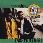 Take You There (LP Instrumenta