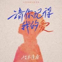 请你记得我的爱 (原版立体声)