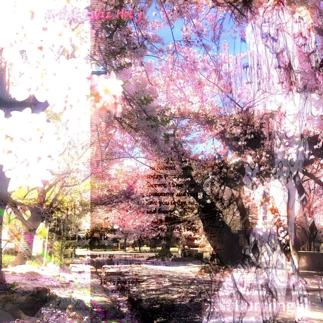 曖昧吥帶愛╮（￣▽￣）╭