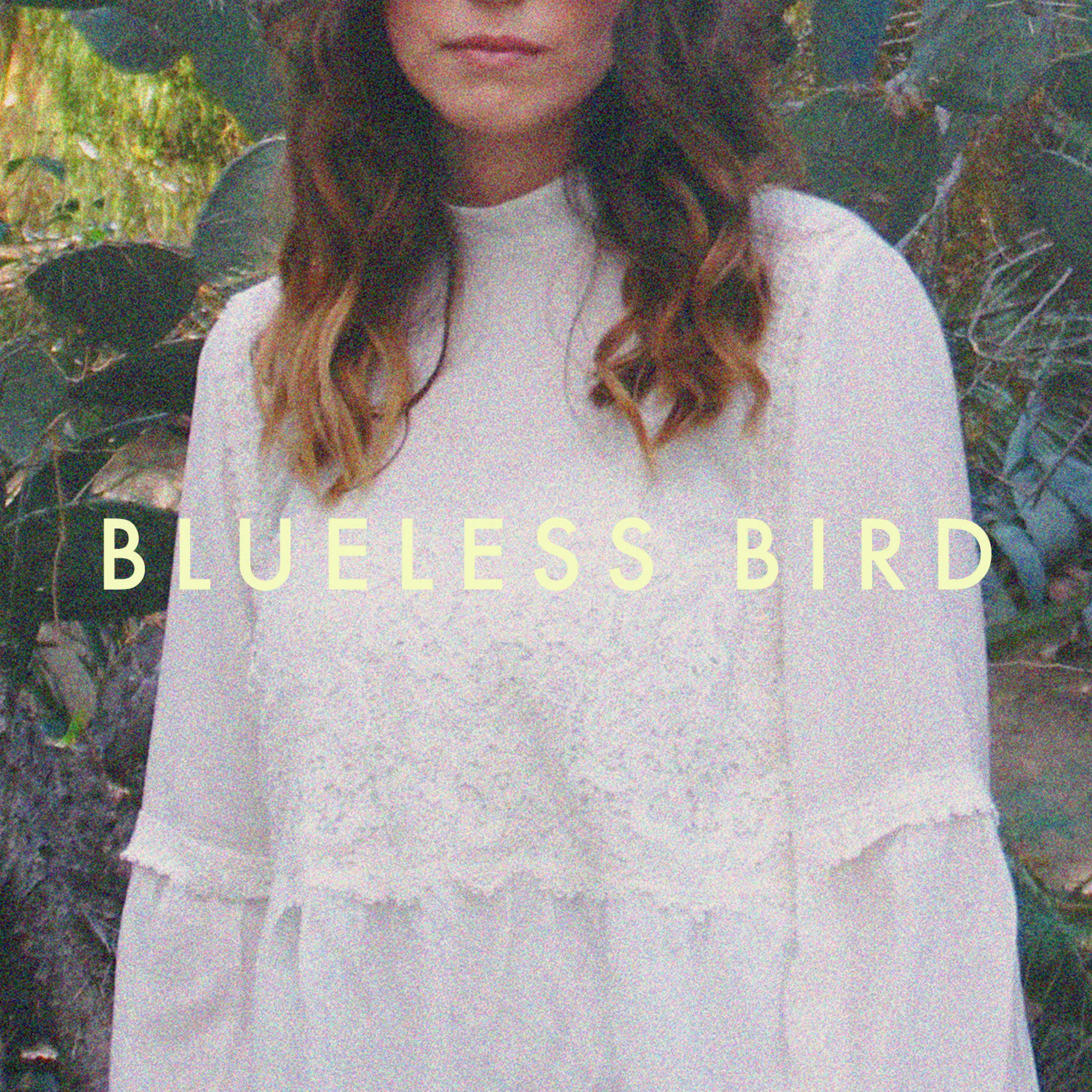 Blueless Bird专辑